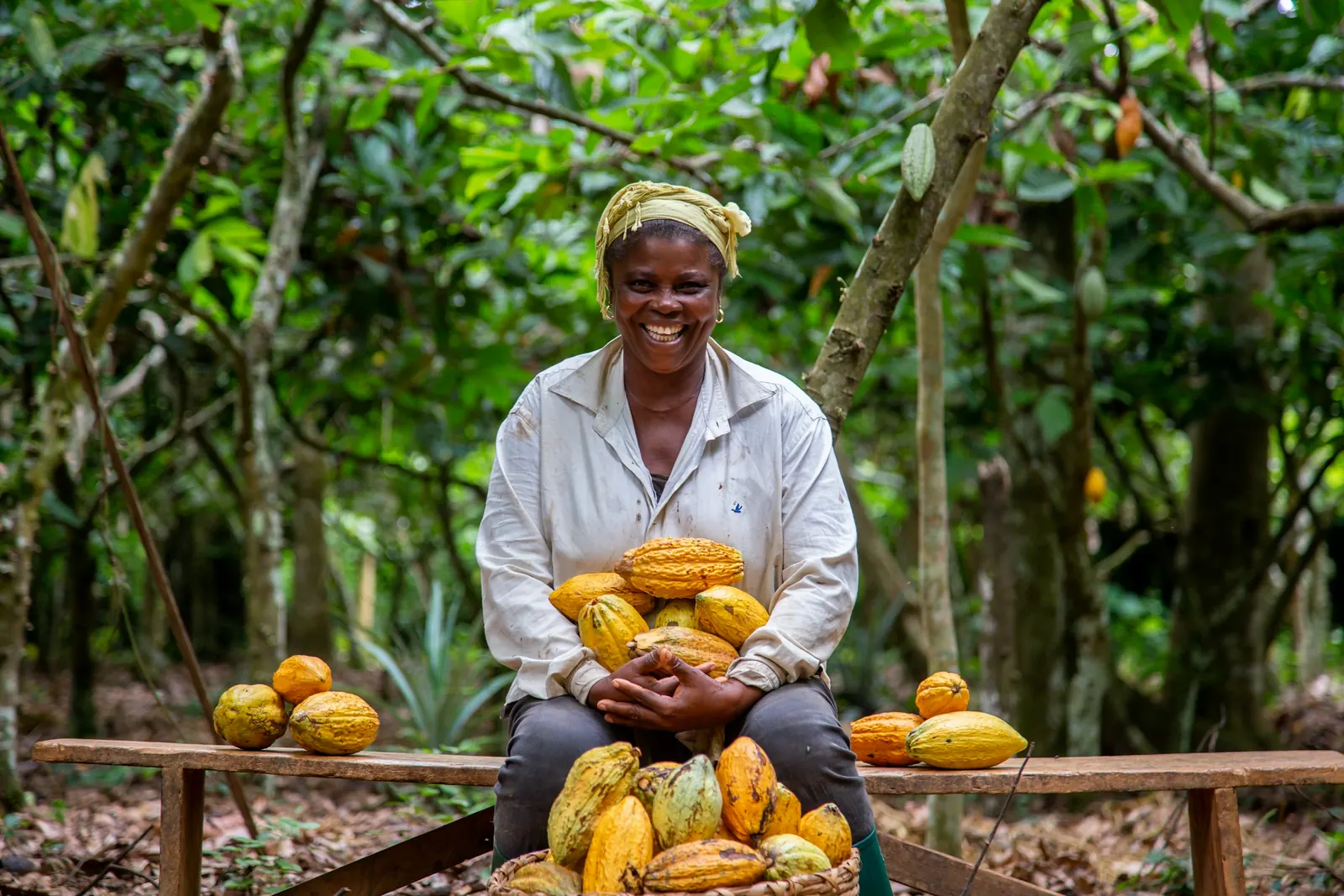 Mujer sonriente con frutos de cacao recién cosechados
