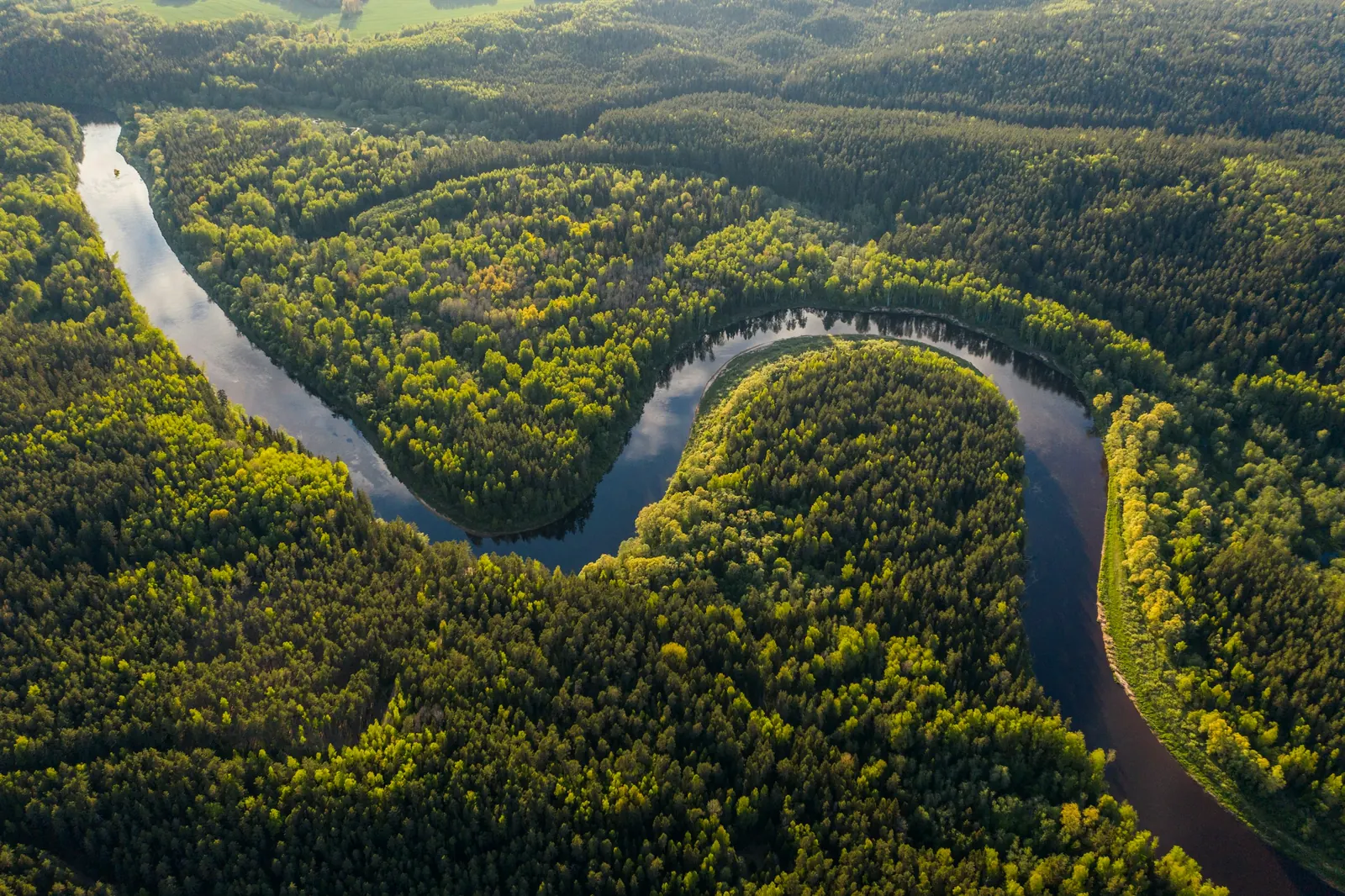 Río serpenteando entre la selva